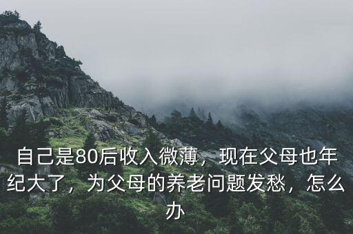 自己是80后收入微薄，現在父母也年紀大了，為父母的養老問題發愁，怎么辦