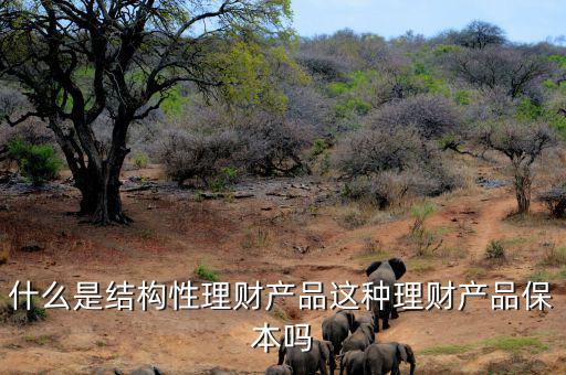 什么是消耗性理財產品,凈值型理財是什么概念