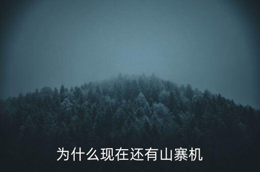山寨為什么存在,山寨企業為什么短命