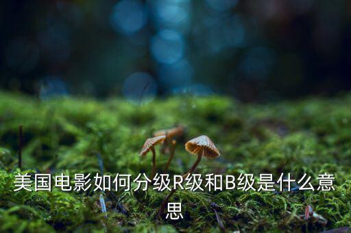 ?簧?B級是什么,A級車和B級車的區別是什么