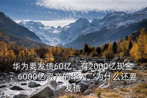 為什么要發債,華為要發債60億