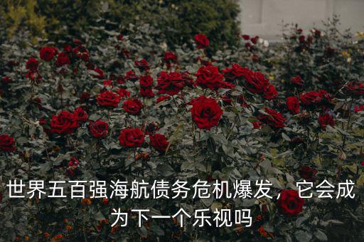 世界五百強(qiáng)海航債務(wù)危機(jī)爆發(fā)，它會成為下一個樂視嗎