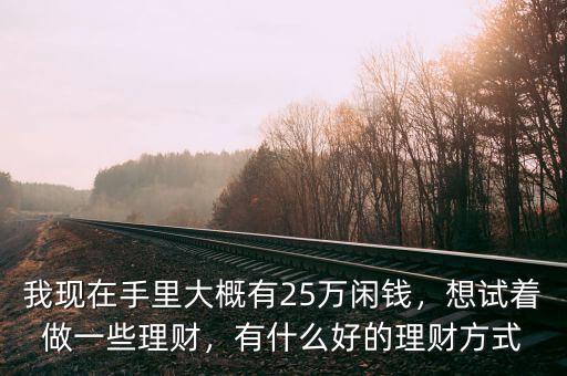 我現在手里大概有25萬閑錢，想試著做一些理財，有什么好的理財方式
