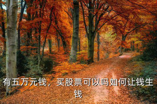 有五萬元錢，買股票可以嗎如何讓錢生錢