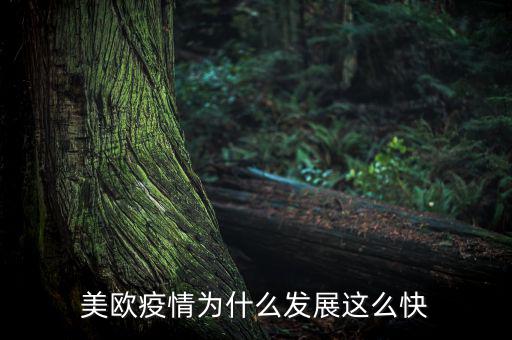 美國發展為什么這么快,美歐疫情為什么發展這么快
