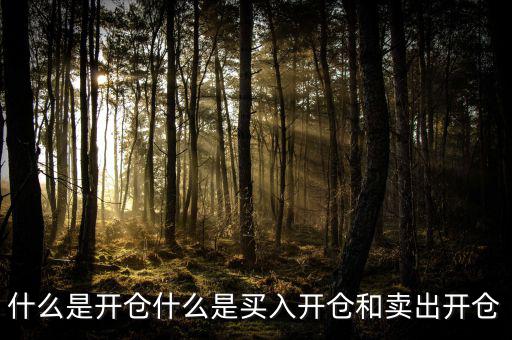 開倉買需要什么手續,期貨憑什么開倉