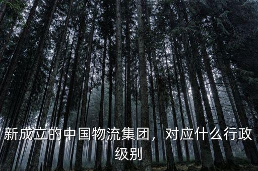 新成立的中國物流集團，對應(yīng)什么行政級別