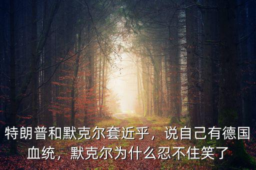 特朗普和默克爾套近乎，說(shuō)自己有德國(guó)血統(tǒng)，默克爾為什么忍不住笑了