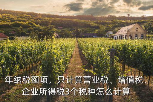 年納稅額怎么計算,企業所得稅3個稅種怎么計算