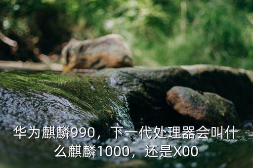 華為麒麟990，下一代處理器會叫什么麒麟1000，還是X00