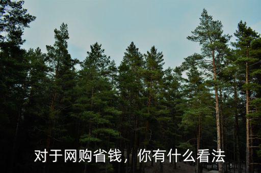 對于網購省錢，你有什么看法