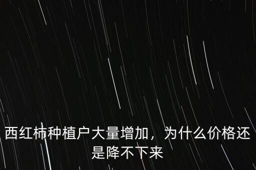 西紅柿種植戶大量增加，為什么價格還是降不下來