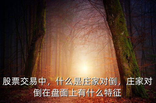 現貨交易里什么是主力的試盤動作,主力拉升前的試盤是如何做的