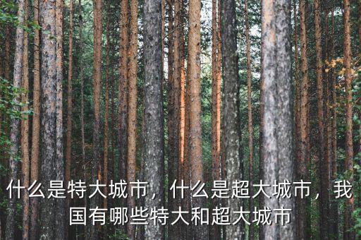 什么是特大城市，什么是超大城市，我國有哪些特大和超大城市