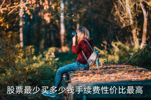 股票最少買多少錢手續費性價比最高
