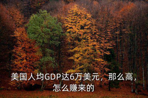 美國(guó)人均GDP達(dá)6萬(wàn)美元，那么高，怎么賺來(lái)的