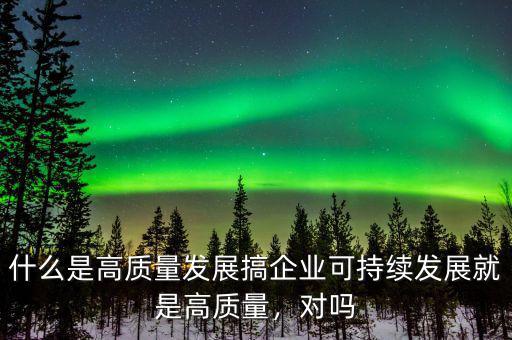什么是高質量發展搞企業可持續發展就是高質量，對嗎
