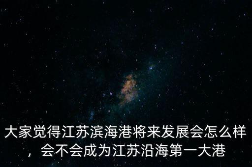 大家覺得江蘇濱海港將來發展會怎么樣，會不會成為江蘇沿海第一大港