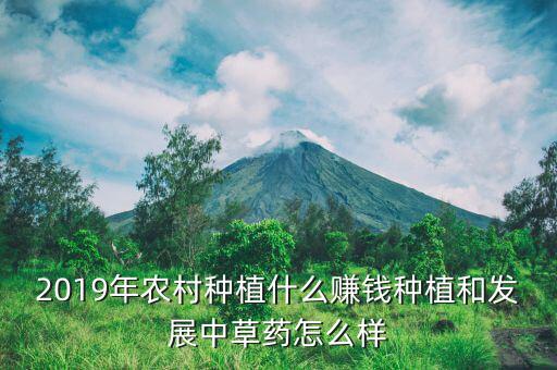 亳州種植什么藥材賺錢,2019年農村種植什么賺錢
