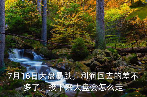 7月16日大盤暴跌，利潤回去的差不多了，接下來大盤會怎么走