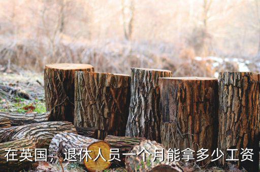 英國退休金多少,法國前總統都有較高的退休金
