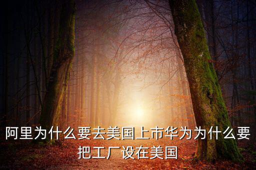 阿里為什么要去美國上市華為為什么要把工廠設在美國