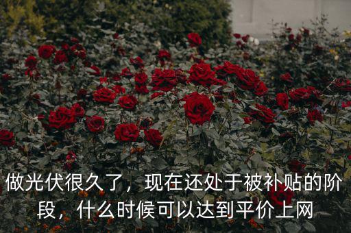 做光伏很久了，現在還處于被補貼的階段，什么時候可以達到平價上網