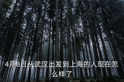 武漢天喻上海怎么樣,大武漢與上海比有哪些優勢