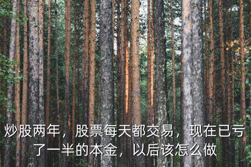 炒股兩年，股票每天都交易，現(xiàn)在已虧了一半的本金，以后該怎么做