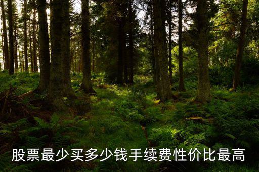 買股票手續費多少,究竟需要繳納多少手續費