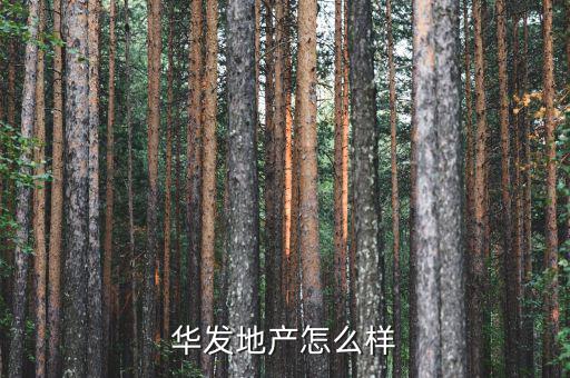 華發地產怎么樣