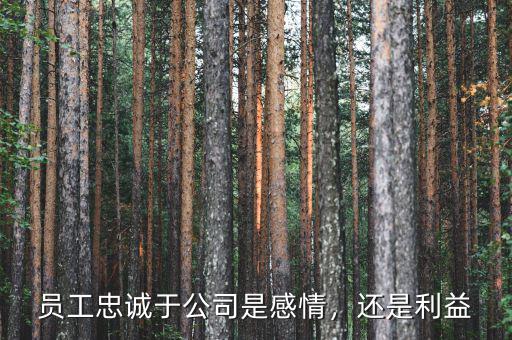 員工忠誠(chéng)于公司是感情，還是利益