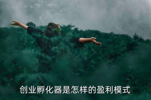 孵化器靠什么盈利模式,創業孵化器是怎樣的盈利模式