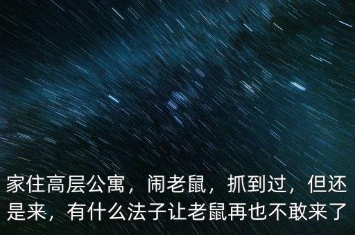 高層發現老鼠怎么辦,老鼠特別多怎么辦
