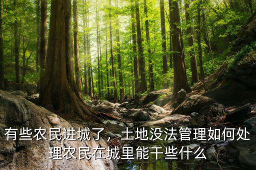 有些農(nóng)民進城了，土地沒法管理如何處理農(nóng)民在城里能干些什么