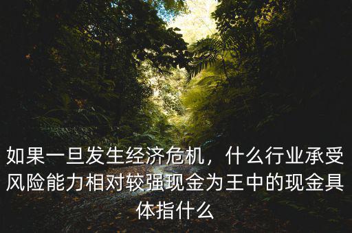 如果一旦發生經濟危機，什么行業承受風險能力相對較強現金為王中的現金具體指什么