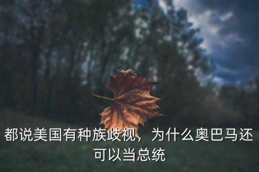 都說美國有種族歧視，為什么奧巴馬還可以當總統