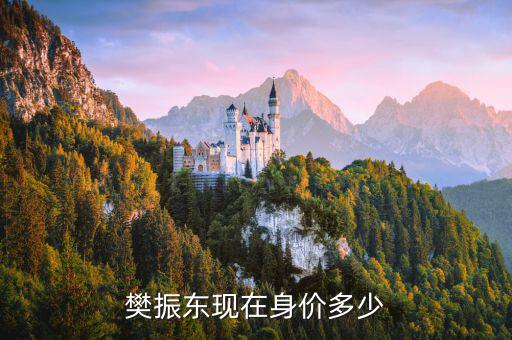樊振東現在身價多少