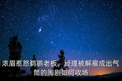 濃眉惹怒鵜鶘老板，經理被解雇成出氣筒的鬧劇如何收場