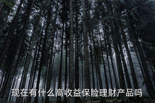 現在有什么高收益保險理財產品嗎