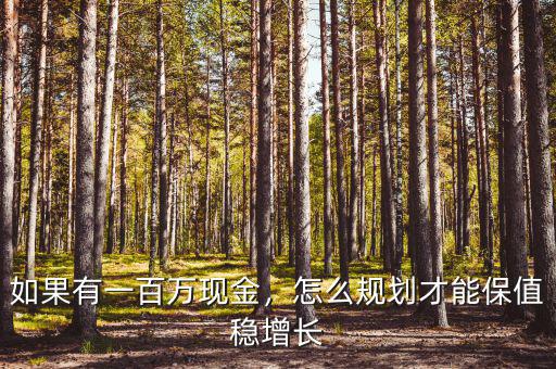 百萬怎么保值,怎么規劃才能保值穩增長