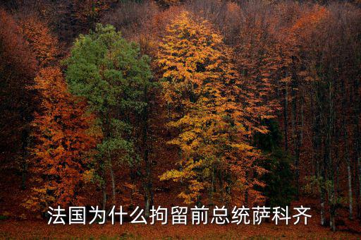 法國總統為什么去重慶,英首相為什么去武漢