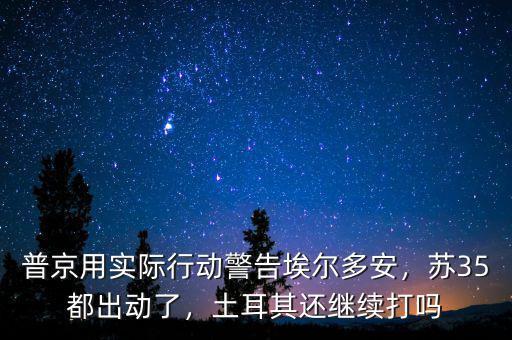 普京用實(shí)際行動(dòng)警告埃爾多安，蘇35都出動(dòng)了，土耳其還繼續(xù)打嗎