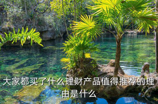 買什么理財產品,大家都買了什么理財產品