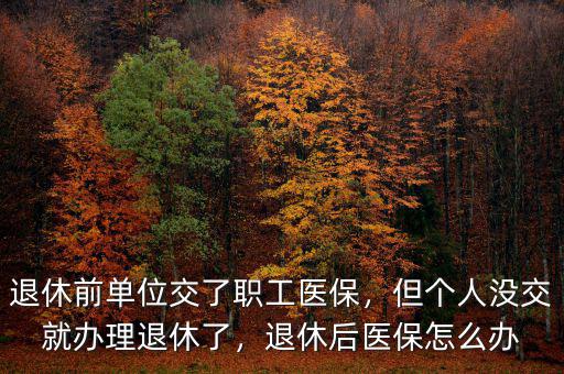 退休前單位交了職工醫保，但個人沒交就辦理退休了，退休后醫保怎么辦