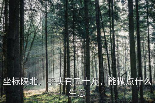 坐標陜北，手頭有二十萬，能做點什么生意