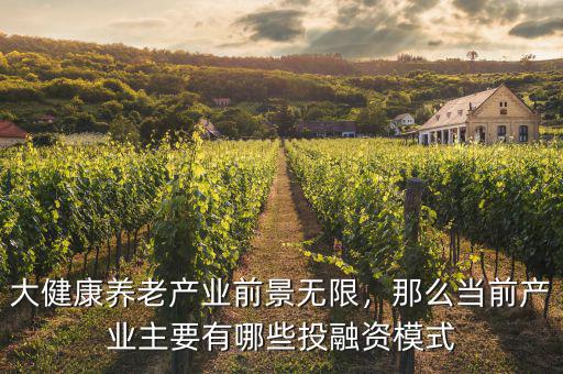 什么是養老健康產業,大健康具體是什么