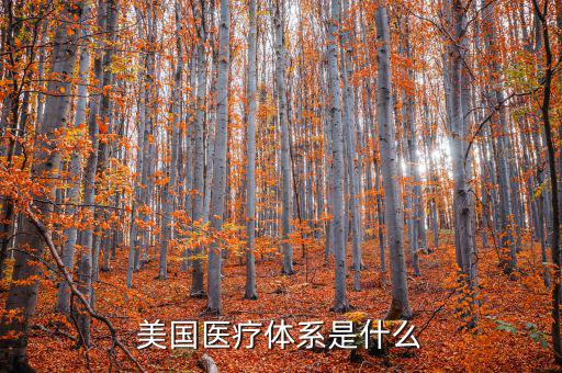 美國醫療體系是什么