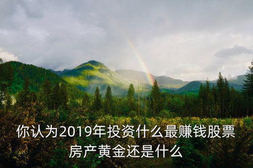 你認為2019年投資什么最賺錢股票房產黃金還是什么