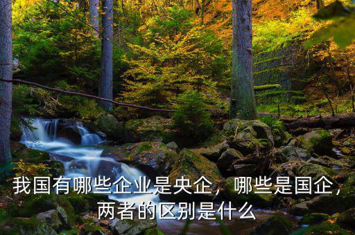 我國(guó)有哪些企業(yè)是央企，哪些是國(guó)企，兩者的區(qū)別是什么